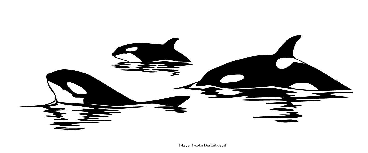 Sea Fauna – Orca Pack #7 – Outdoor Window Die Cut Decal Vinyl Sticker 6Yrs Film