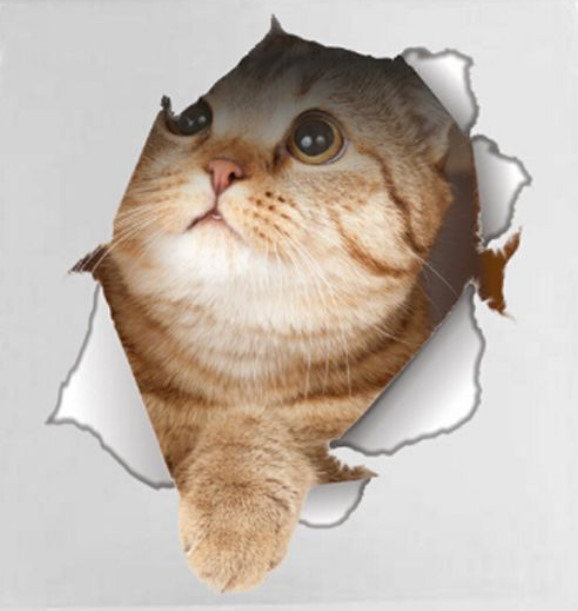 CAT IN A HOLE 3D Removable 7.5" x 9" Die-cut Wall / Refrigerator Decal (#14147)