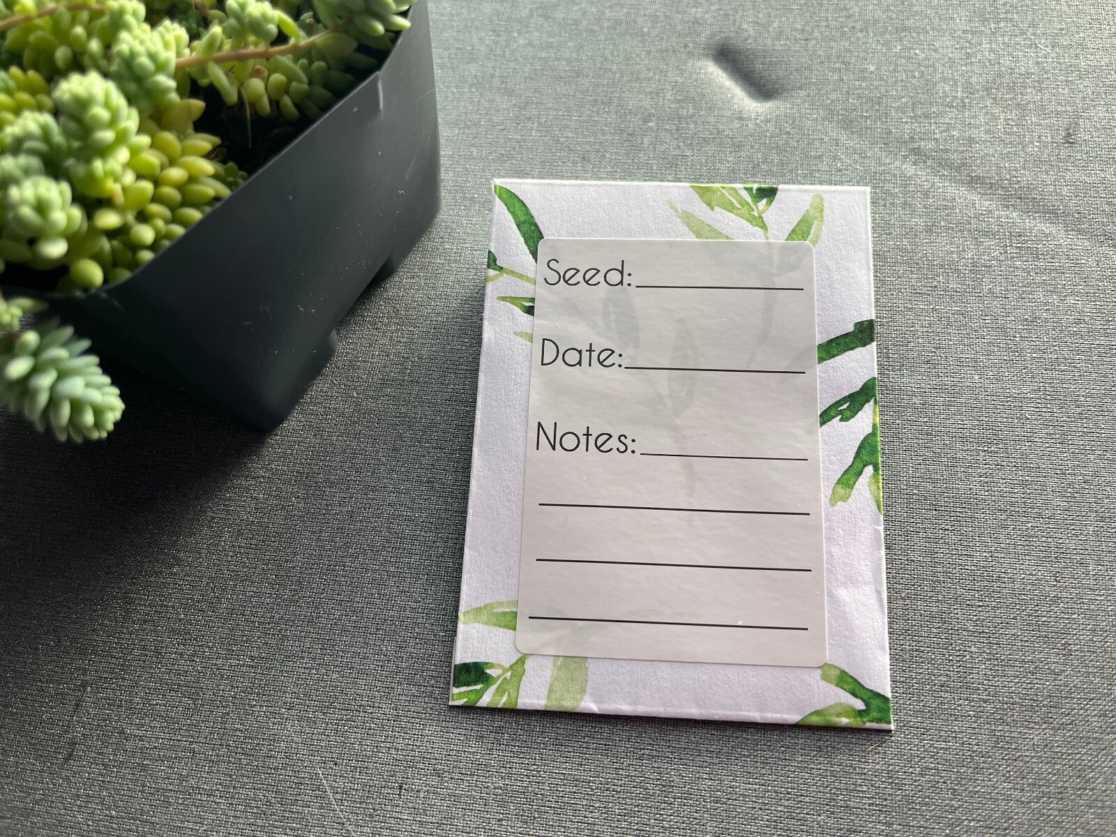 Seed Envelope Labels | Seed Labels | 2 x 3 Label | Set of 8 Labels