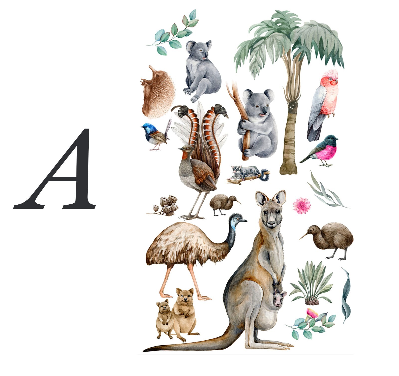 Australian Animals Kangaroo Koala Leaves Removable Wall Decal Peel and Stick