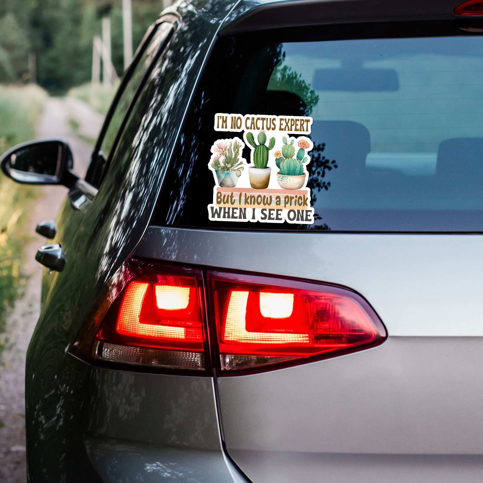 I'm No Cactus Expert – Vinyl Decal Sticker – Car Window Laptop – ebn9362