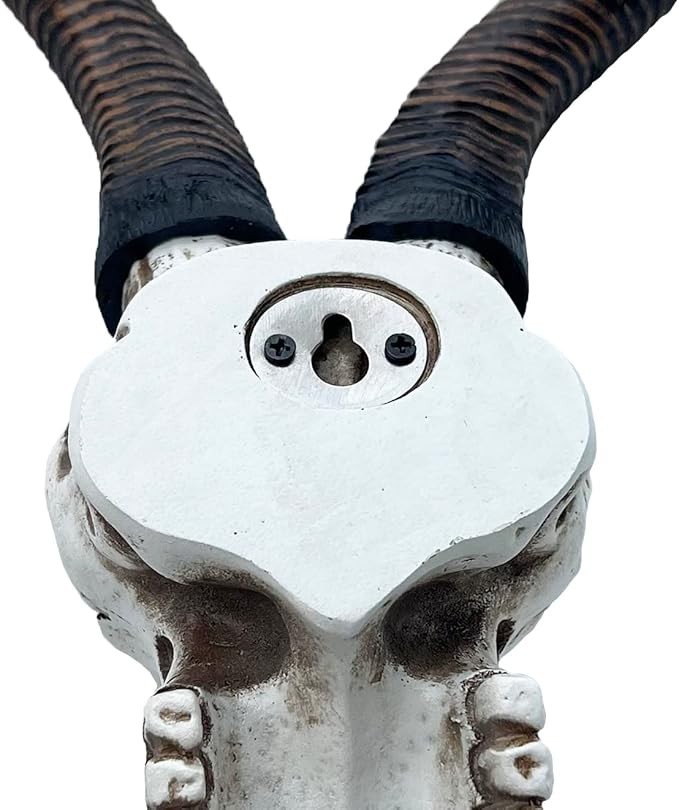 14 1/2" African Kudu Antelope Skull – Wall Mount Head – Rustic Safari Decor