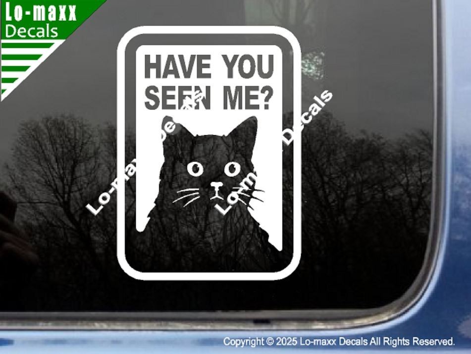 Have You Seen Me Lost Cat Sticker Art Funny Vinyl Decal For Laptop Door Locker