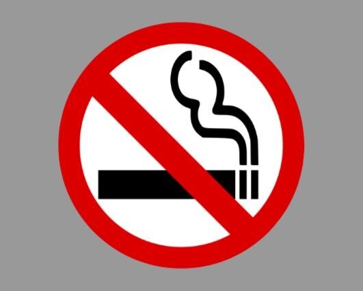 No Smoking Sign Die Cut Glossy Fridge Magnet