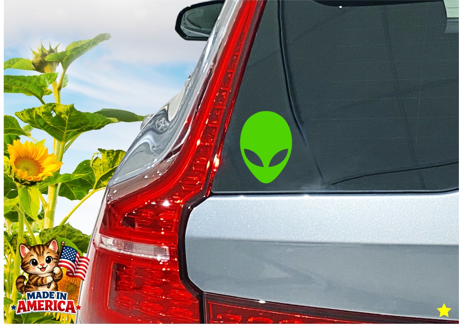 Alien Head Decal Sticker Greys UFO Space Men Ship Classified Area 51 Night Sky
