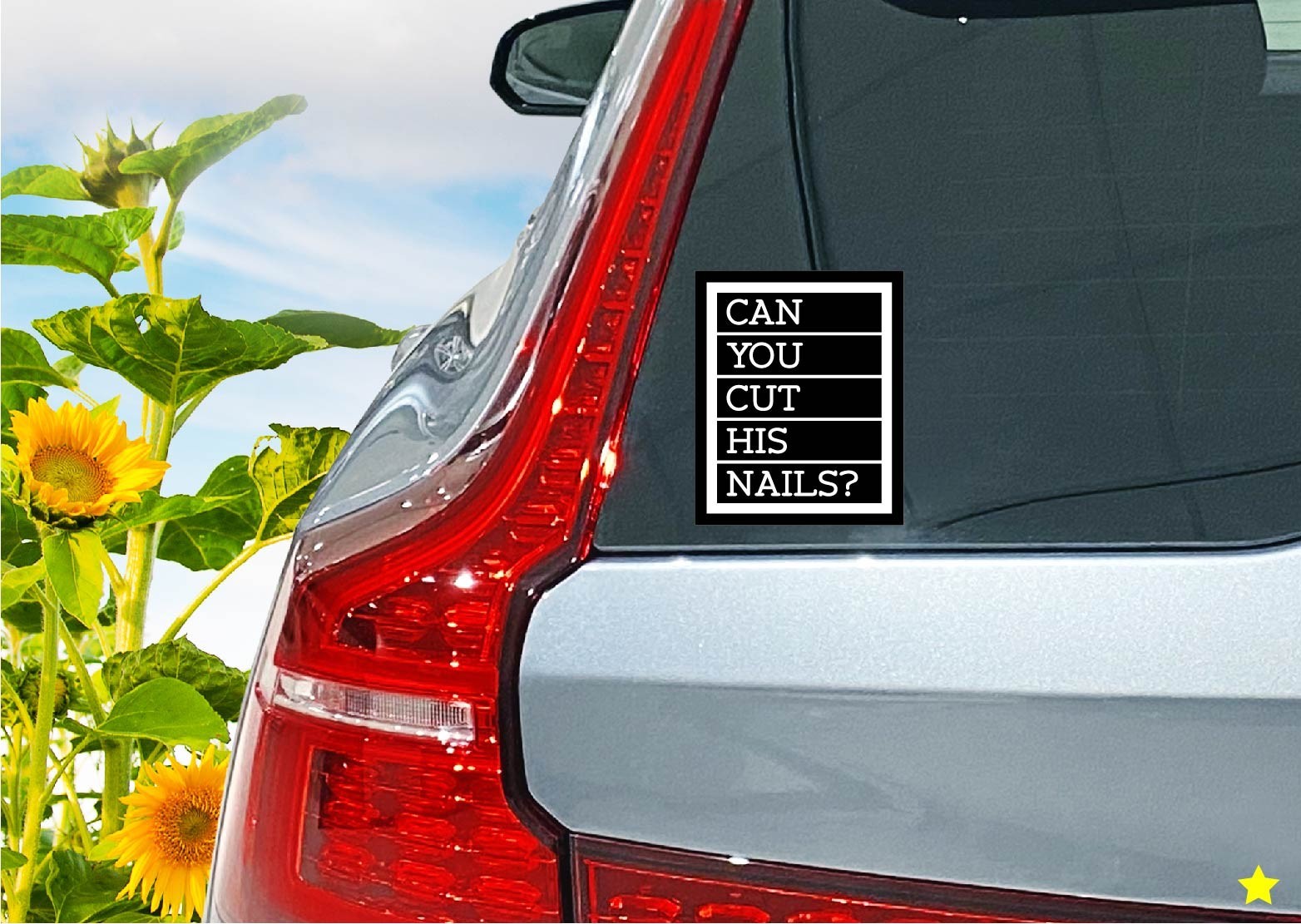 Can You Cut His Nails? Vet RVT Week Gift Med Life Decal Sticker Dog Quote Trim