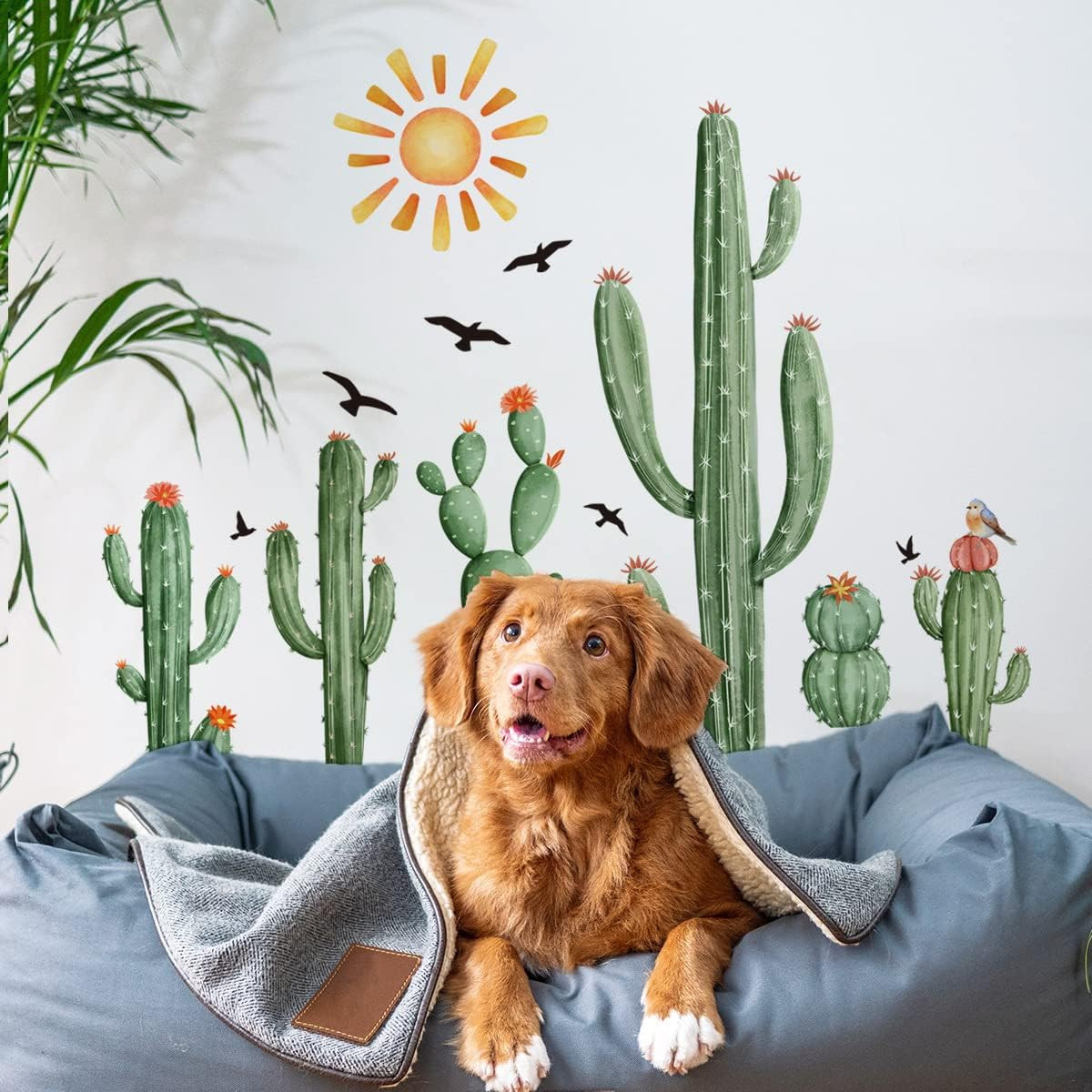 Boho Cactus Wall Decals Boho Sun Wall Stickers Tropical Cacti Green Plants with