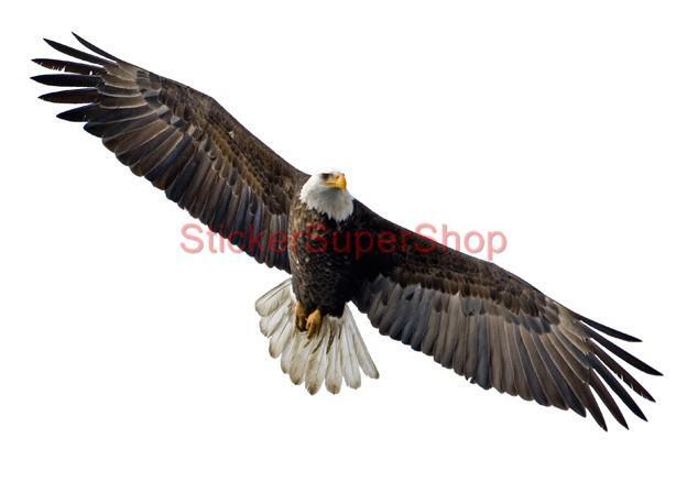 BALD EAGLE ARTWORK Animals Decal Removable WALL STICKER Home Decor Art Mural