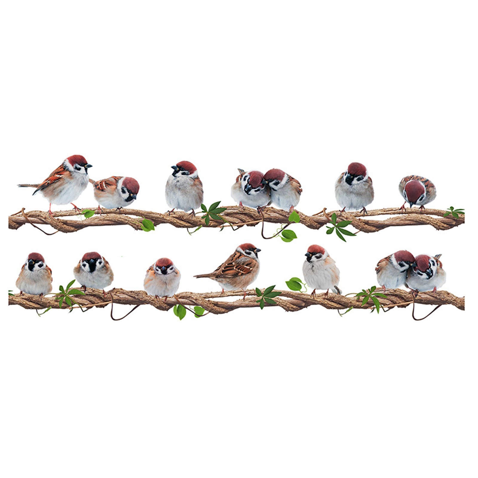 Easy to Apply Bird Wall Decor Stickers DIY Vinyl Art Murals for Room Decoration