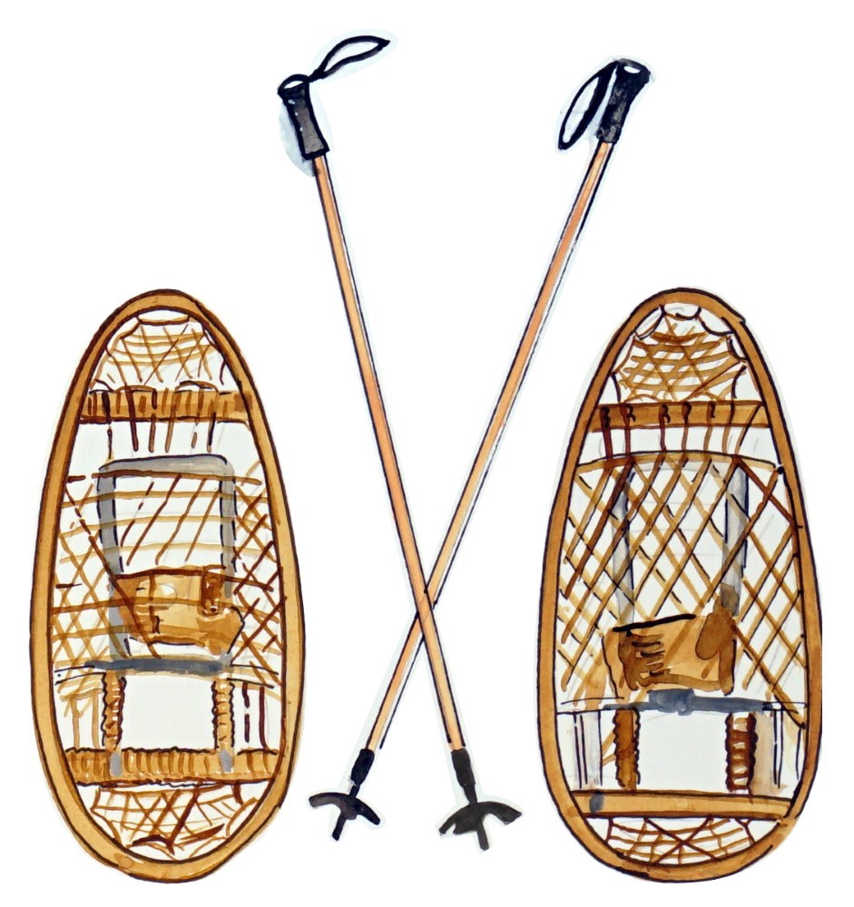 Decal Vinyl Sticker Snow Shoes & Poles Made in USA