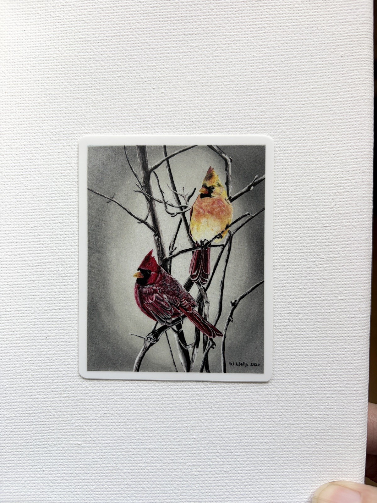 Sticker, set of 3, birds, mask, dragonfly