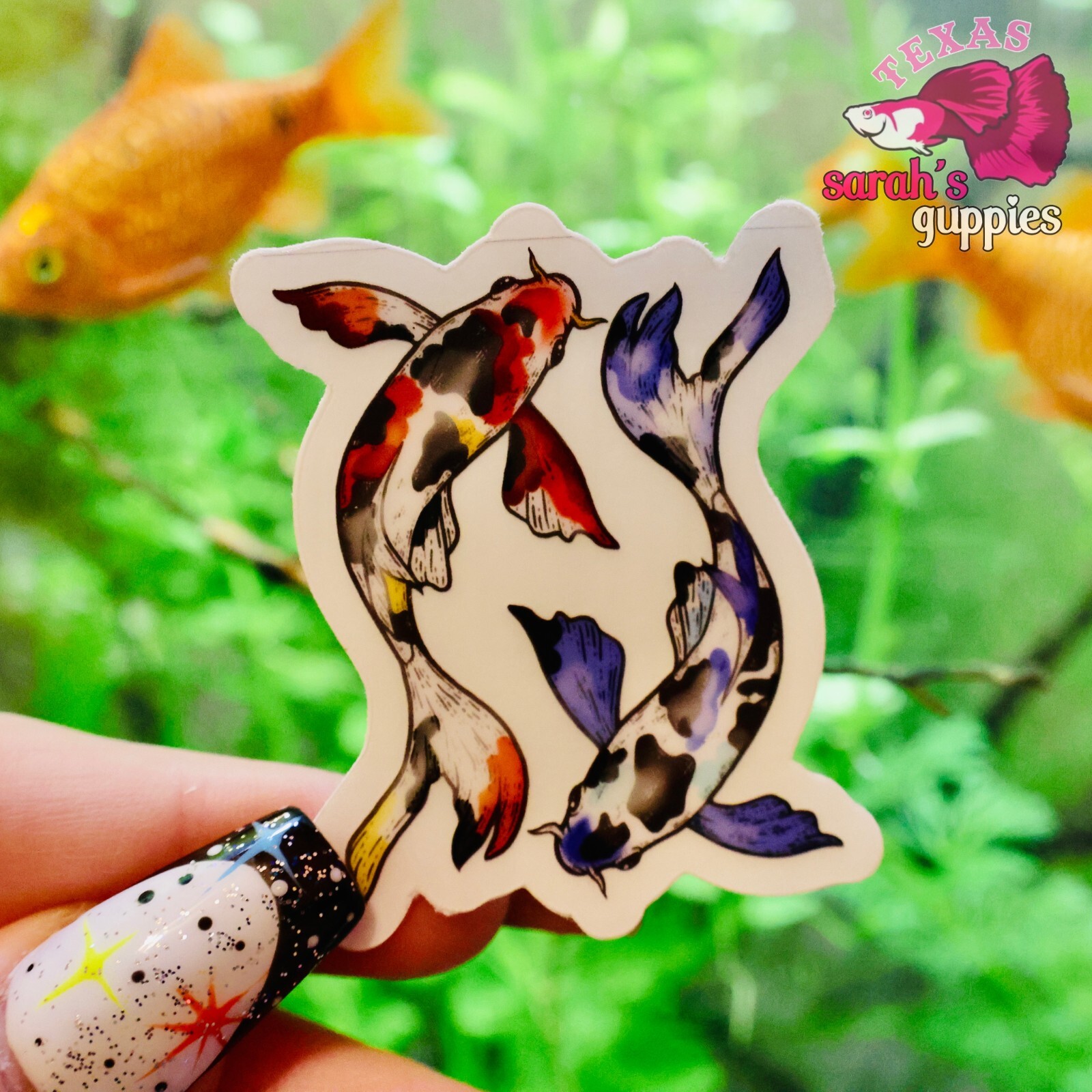 Koi Fish Sticker: Clear Background🐠💕 Sarah's Guppies Premium Homemade Designed
