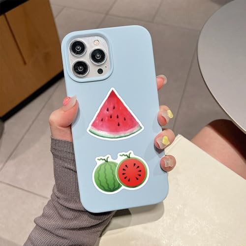 50PCs Vinyl Fruit Stickers – Watermelon Stickers – Pack of 50