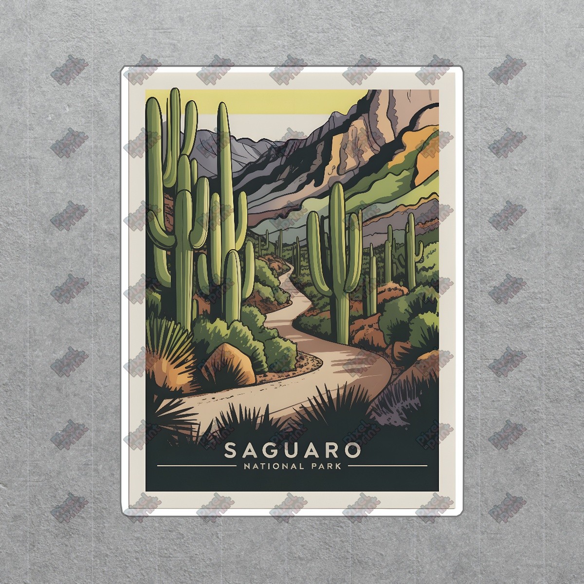 Vintage Saguaro National Park Art Print Desert Landscape Wall Decor #8444