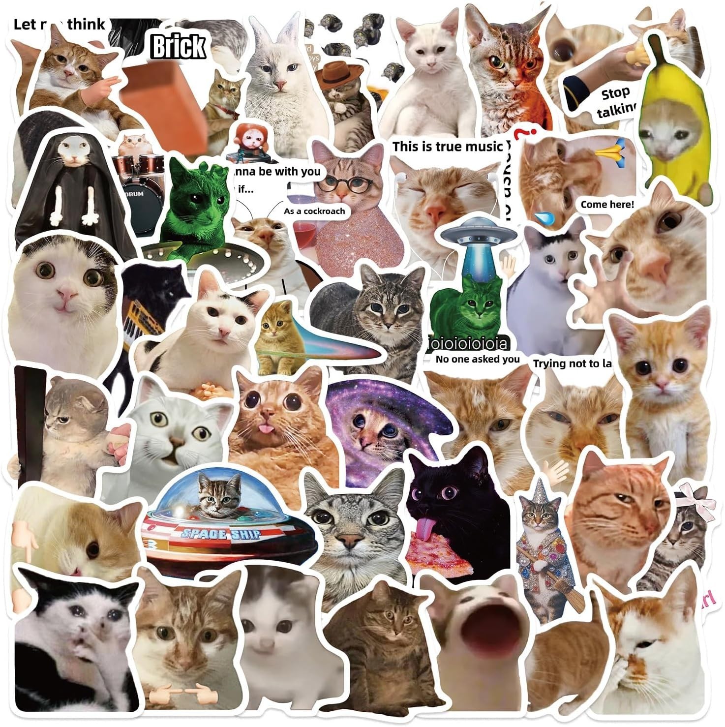 50 Funny Cat Stickers – Waterproof Vinyl Decals for Journaling & Scrapbooking