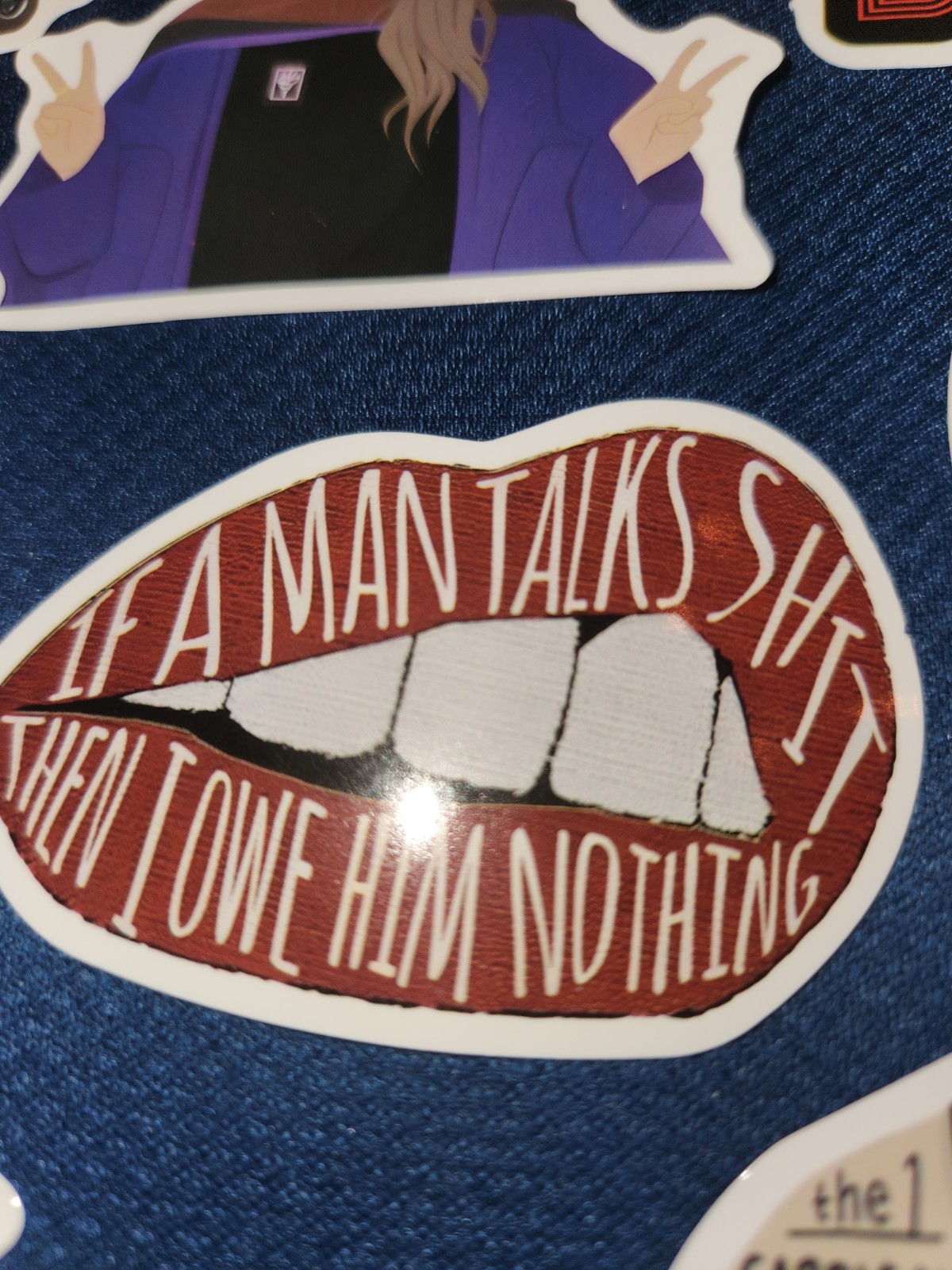 16 Taylor Swift Albu Stickers, Swiftie Stickers, Laptop Stickers, Swiftie Decals
