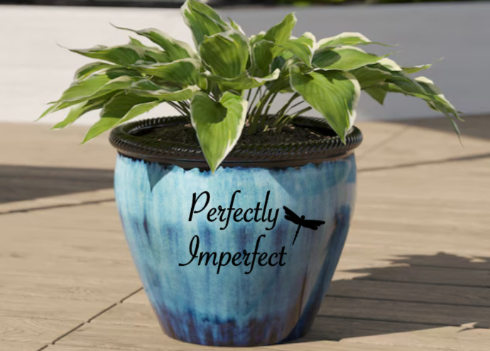 Perfectly Imperfect Dragonfly Vinyl Decal Bumper Sticker Car Window Mirror Wall