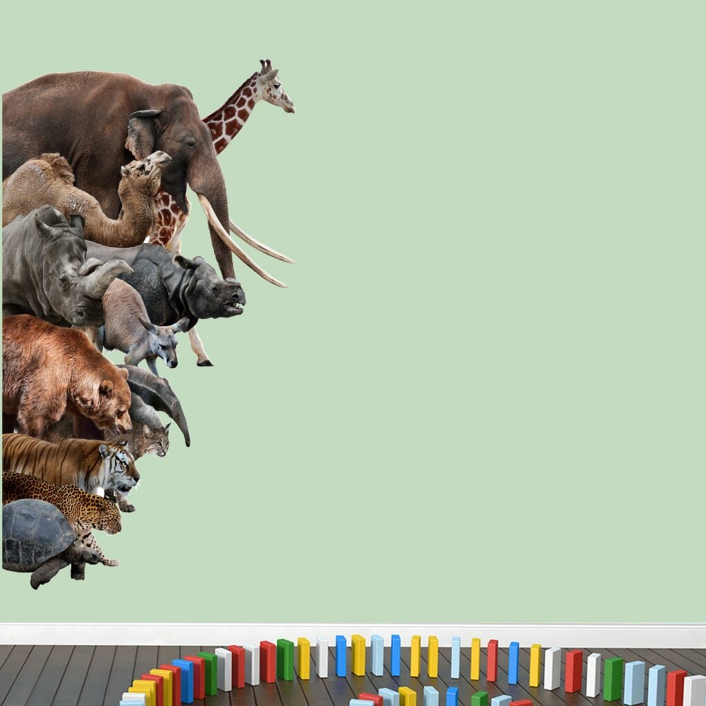 Real Life Zoo Animals Printed Wall Decal – Animals, Kids, Nursery, Playroom