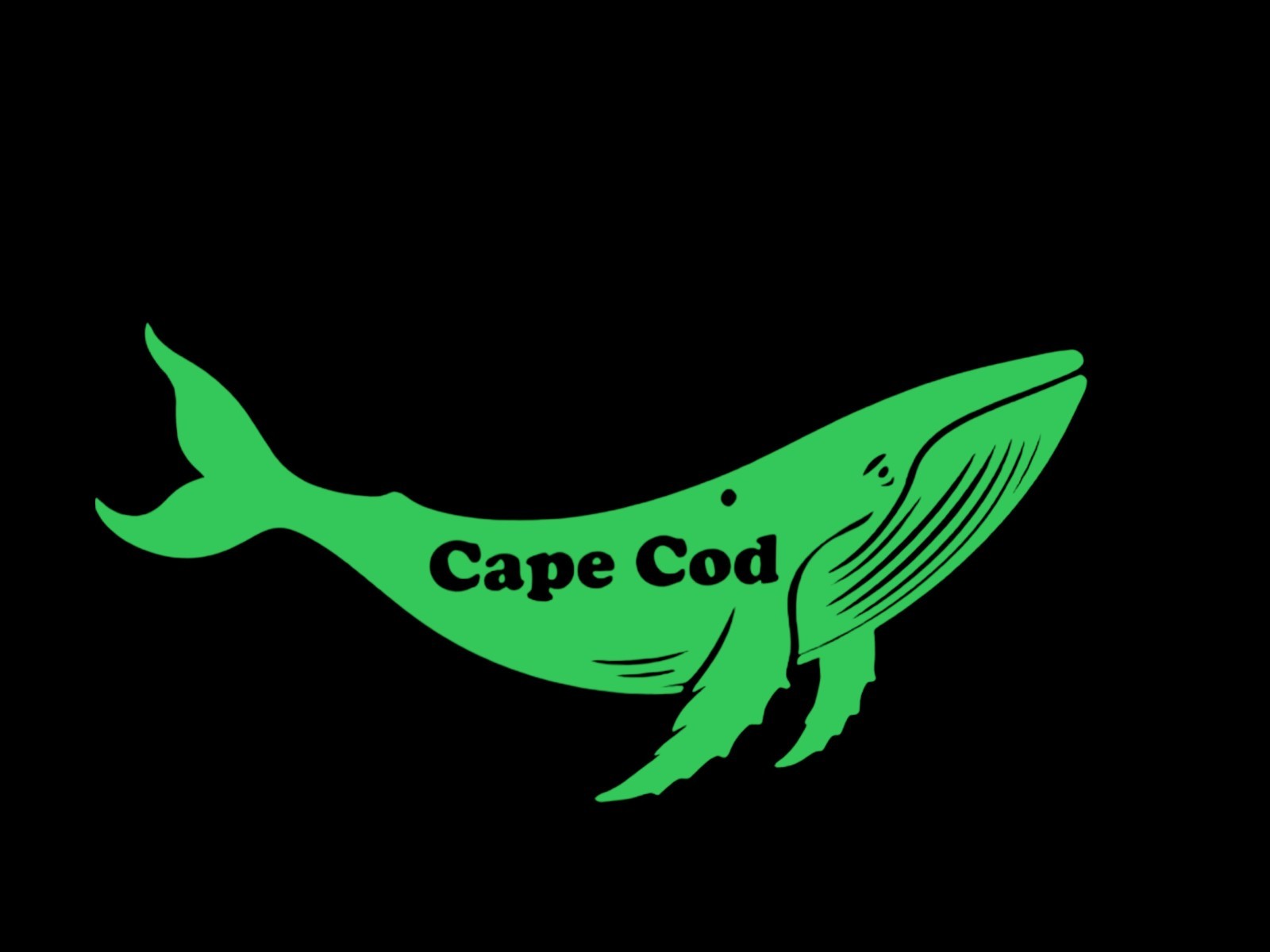 Humpback Whale Cape Cod Decal for car Windows Laptops Smooth Surfaces