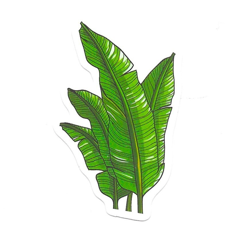Vinyl Sticker Die Cut Banana Leaf Decal Tropical Foliage Bird of Paradise Laptop