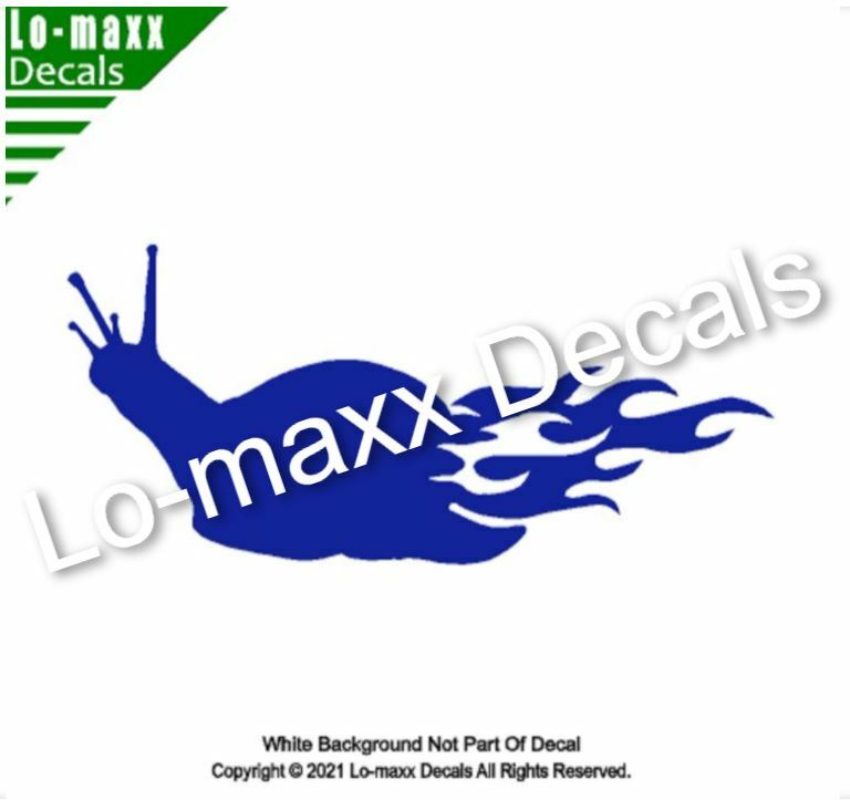 Flaming Snail Car SUV Truck Boat Window Home Decor Design Die Cut Vinyl Decal