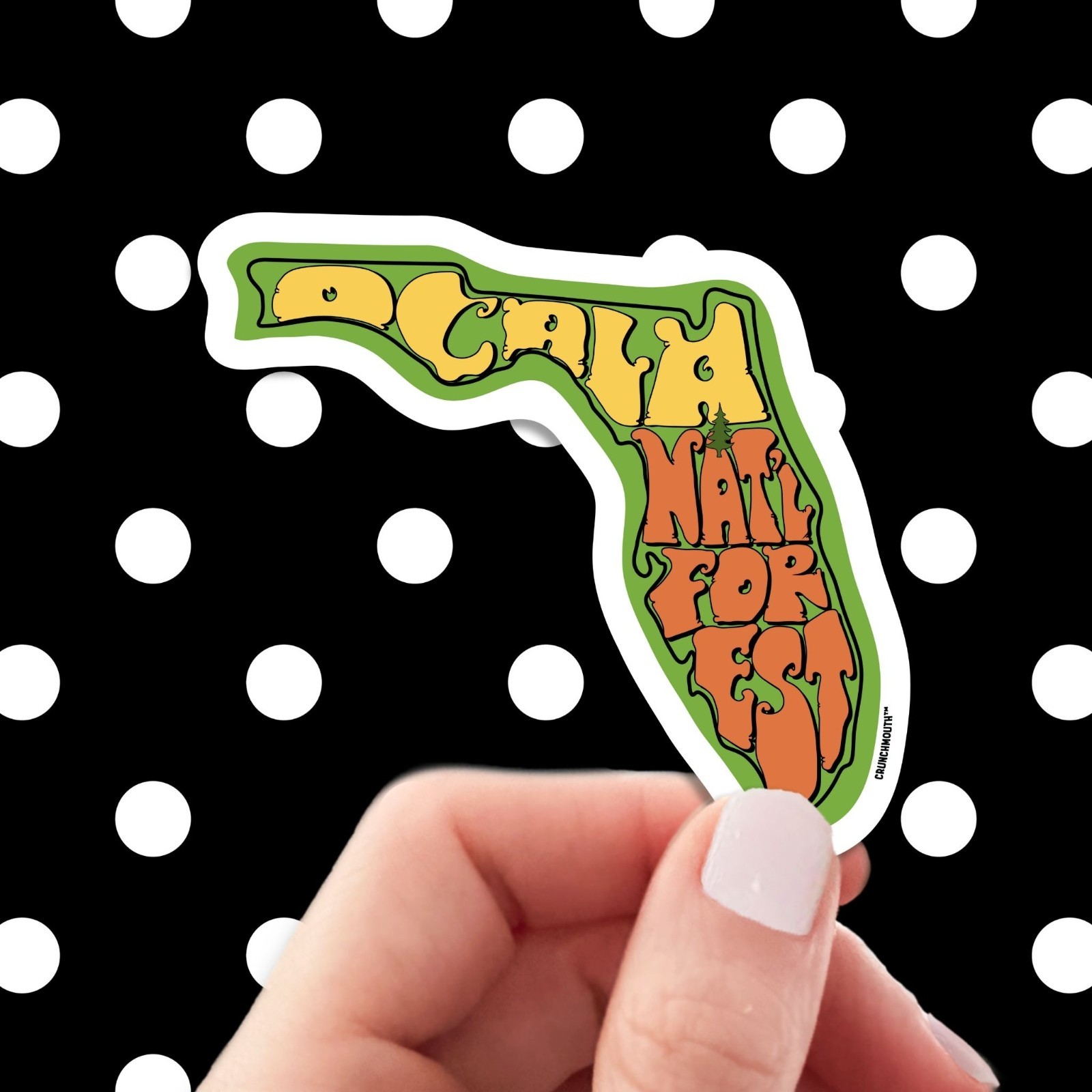 OCALA NATIONAL FOREST FLORIDA DECAL BUMPER STICKER LAPTOP WATER BOTTLE DECAL +
