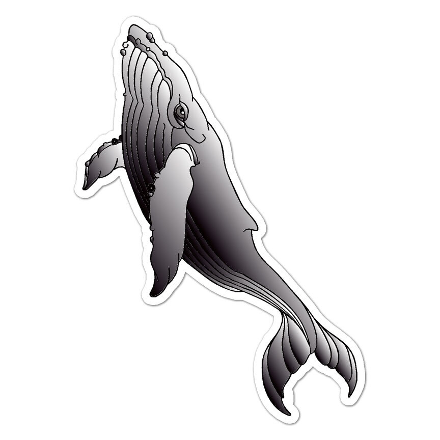 Grey Whale, Vinyl Decal Sticker, Indoor Outdoor, 3 Sizes, #9172