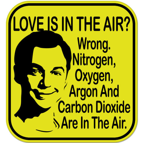 Love is in the Air Funny car bumper sticker decal 4" x 4"