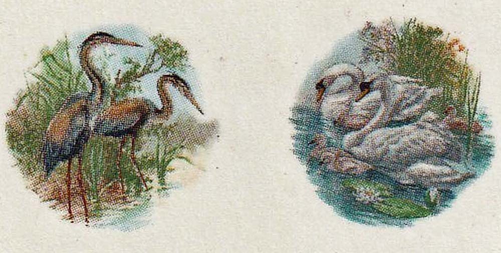 Vintage Mini Ducks & Swans Wildlife Decals: (8) waterslide transfers, crafts