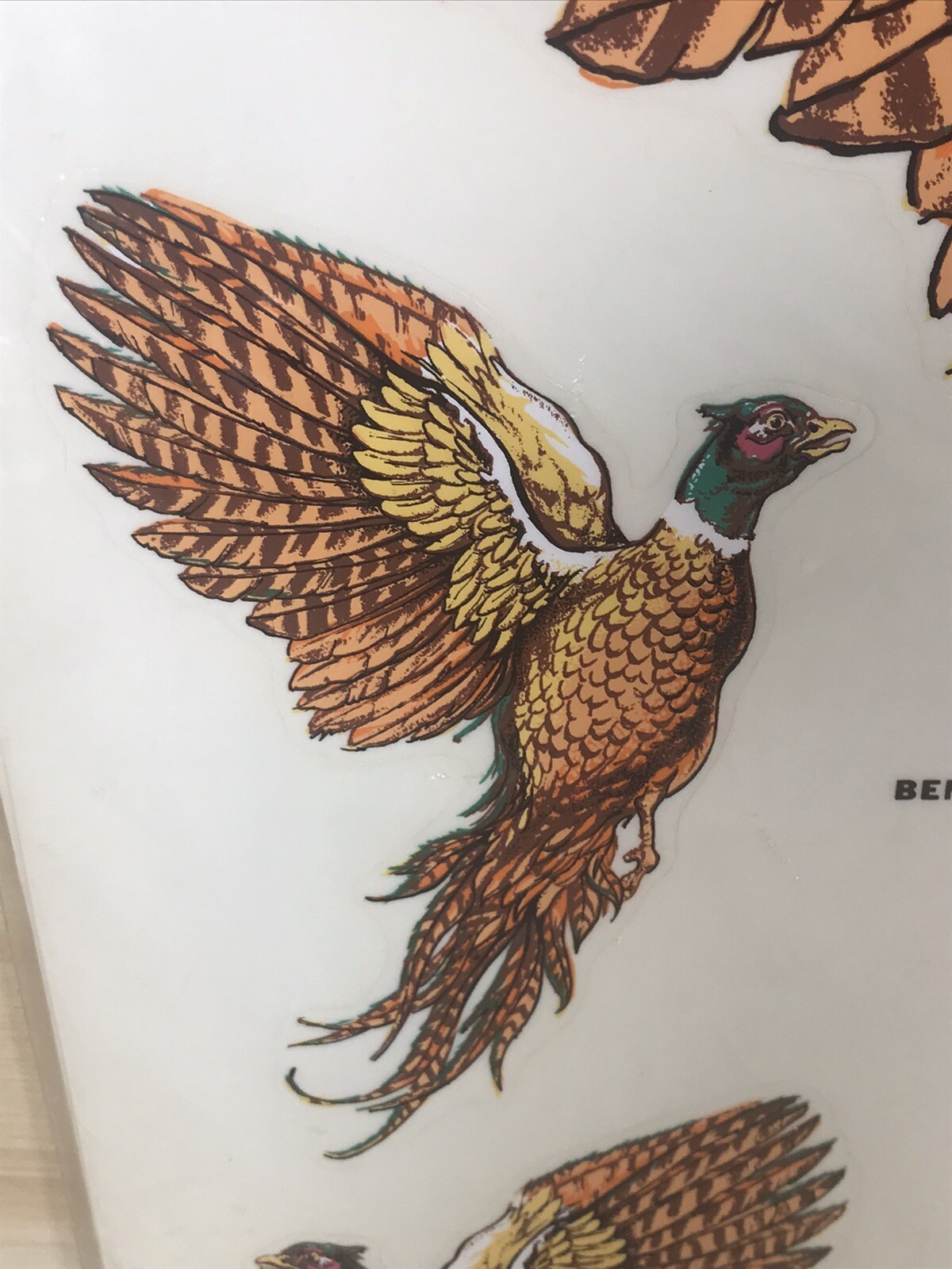 Ringneck Pheasant Decals Hand Painted Sports And Wildlife Decorcal Vintage 1981