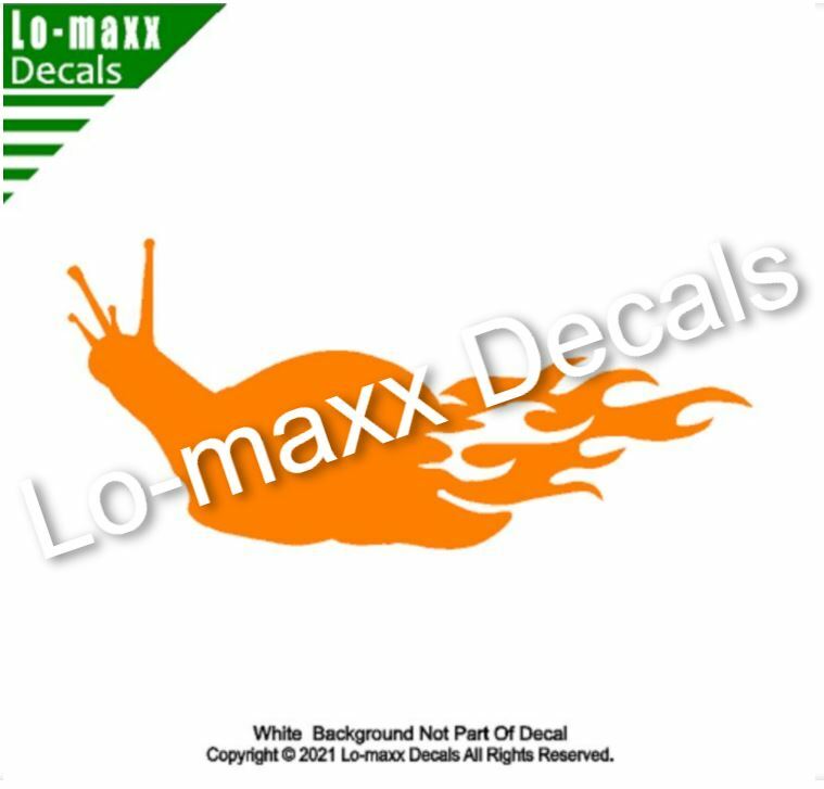 Flaming Snail Car SUV Truck Boat Window Home Decor Design Die Cut Vinyl Decal
