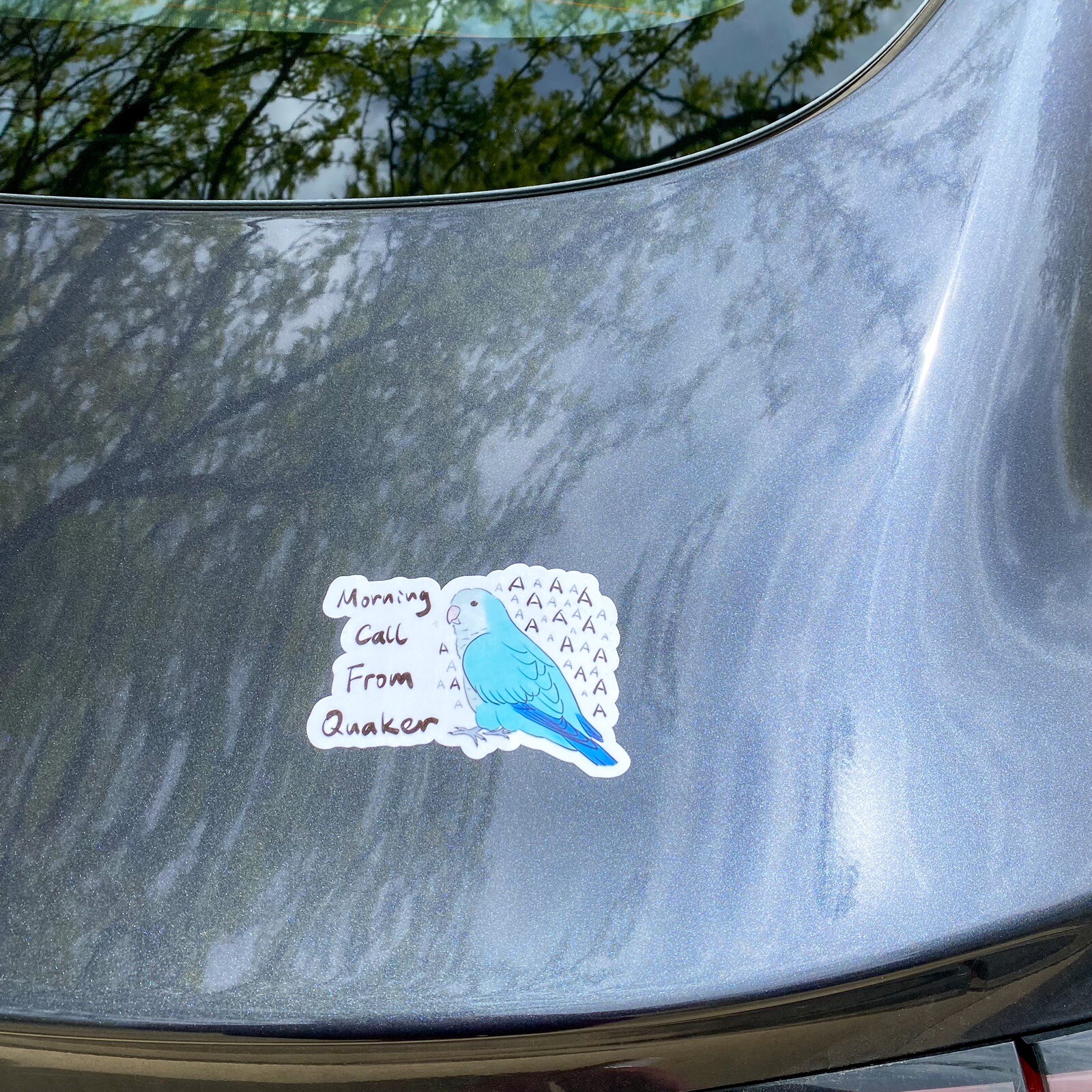 CAR Sticker Blue Quaker Parrot Monk Parrot Outdoor use/UV & Water Proof