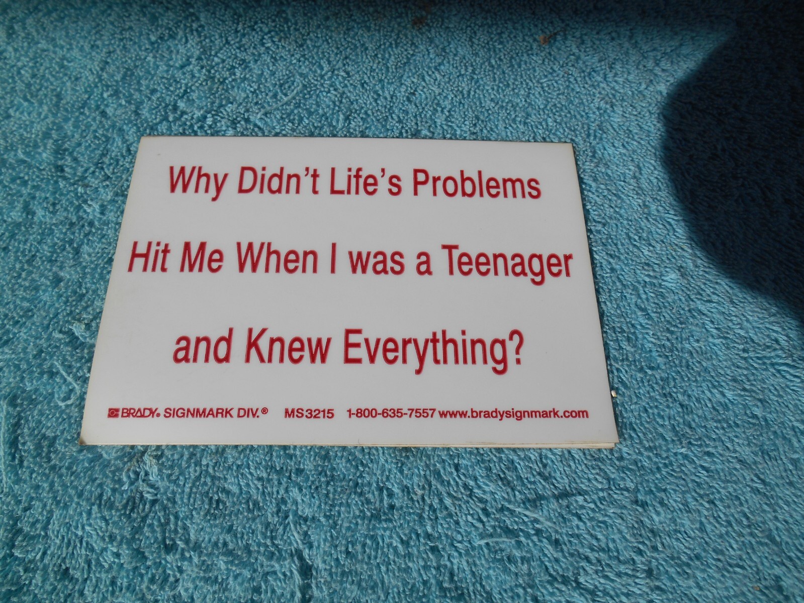 WHY DIDN'T LIFES PROBLEMS HIT ME WHEN I WAS A TEENAGER AND KNEW EVERYTHING?