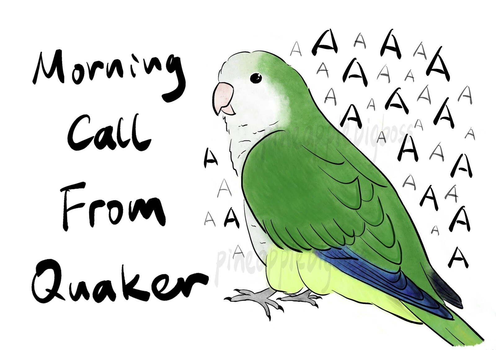 CAR Sticker Green Quaker Parrot Monk Parrot Outdoor use/UV & Water Proof