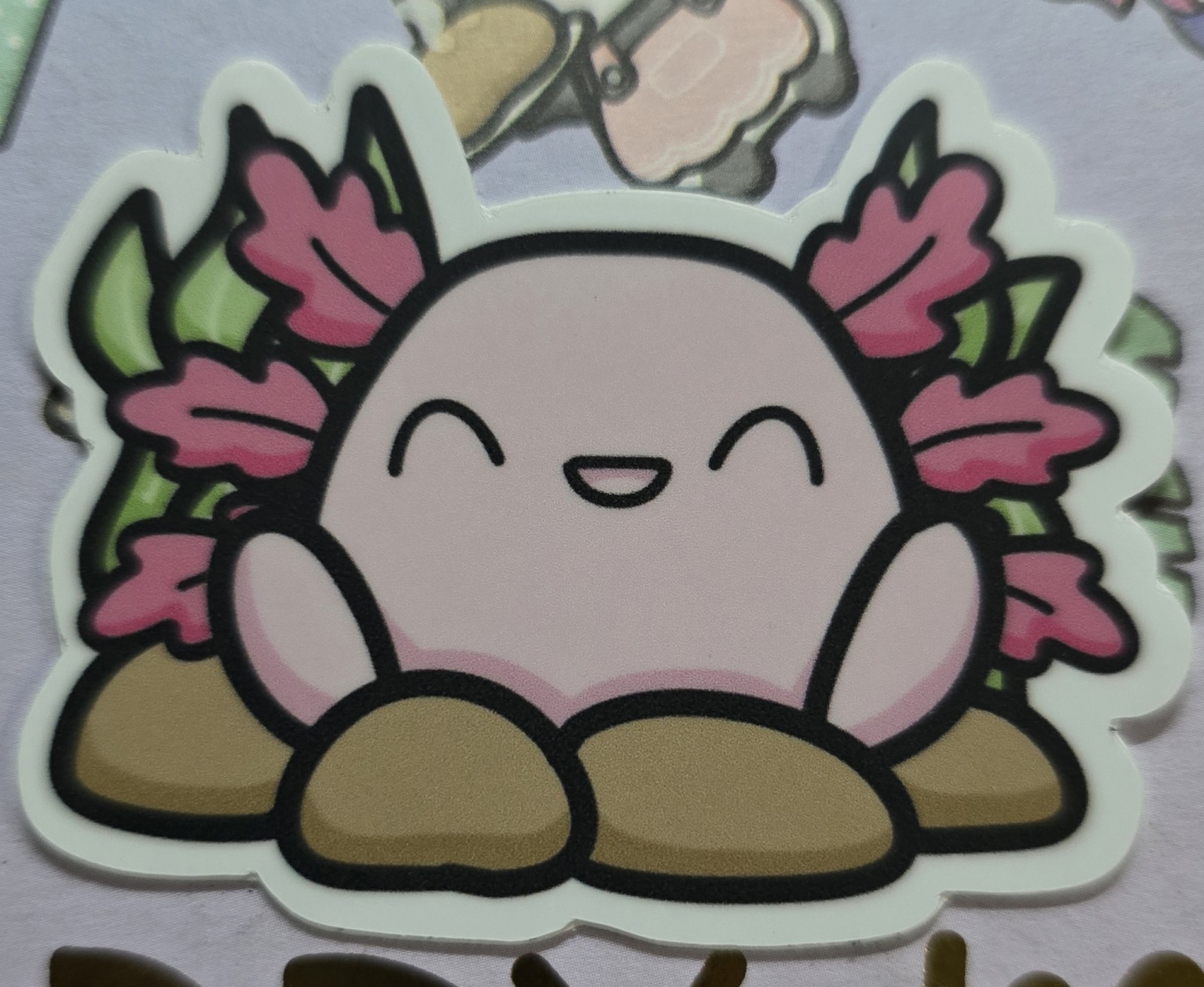 Axolotl 3M Vinyl Sticker Decal by Hubman and Chubgirl A Loved Character Design!