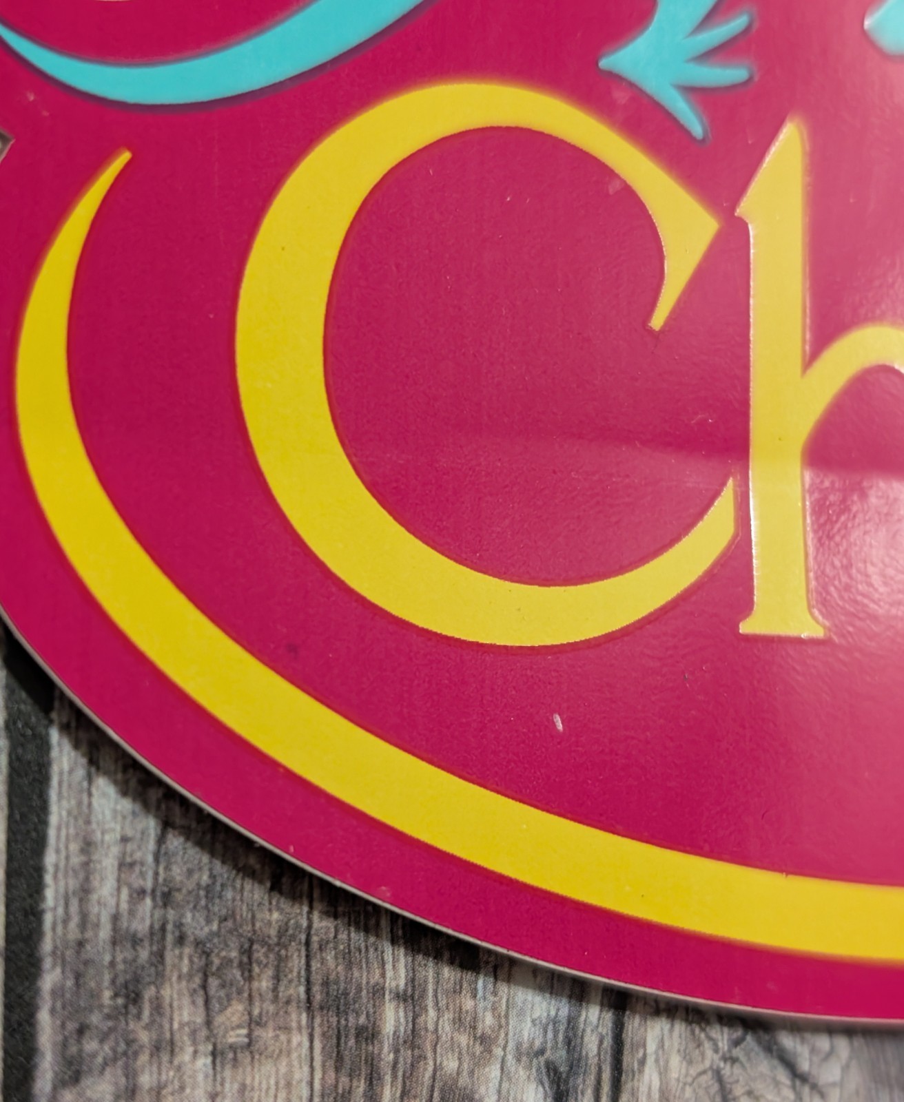 Chaco Lizard Logo Sticker – Pink Yellow Teal – Outdoor Footwear Sandals Gear