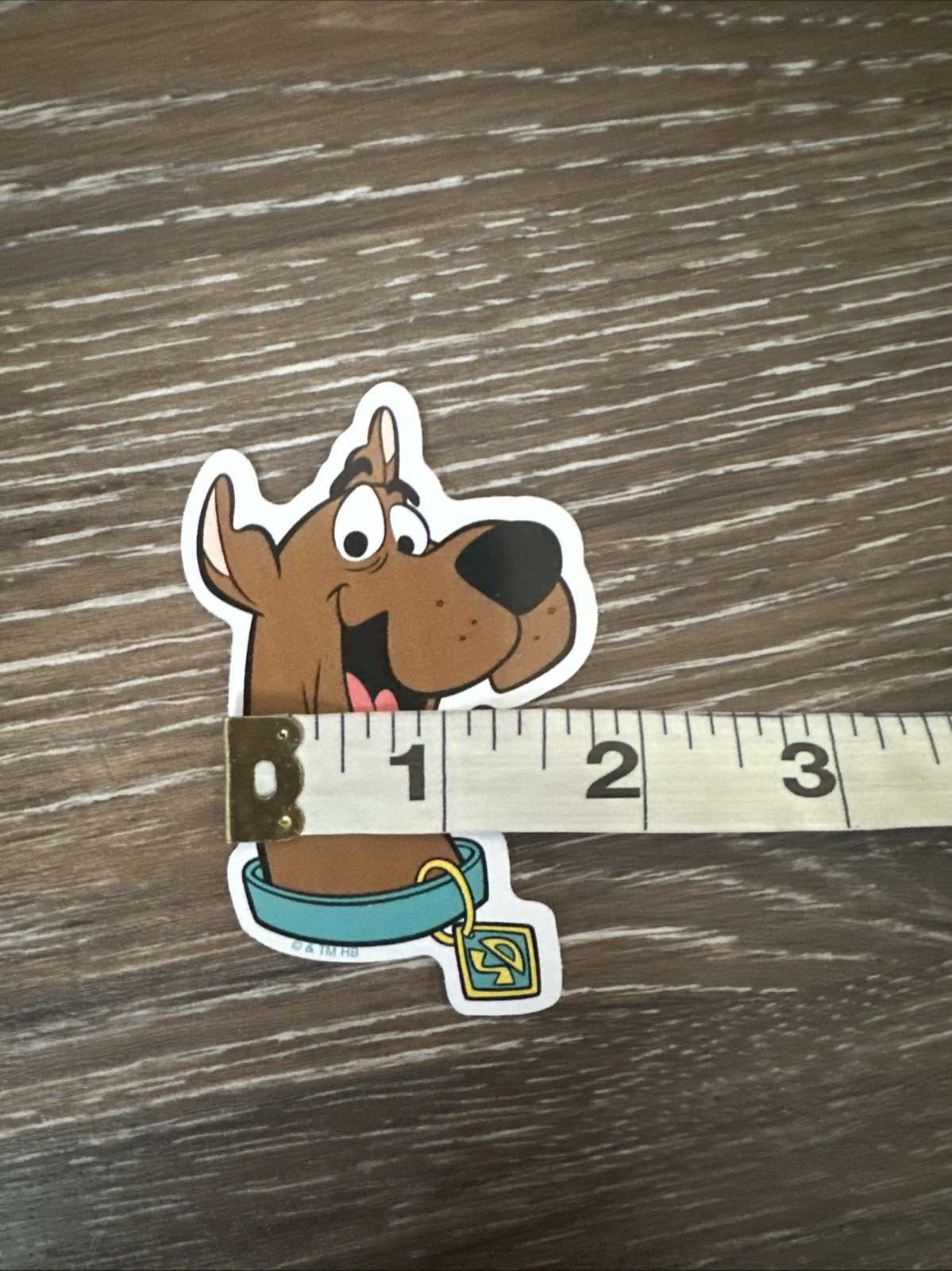 Scooby Doo Just Scooby 3”x1.5” Sticker