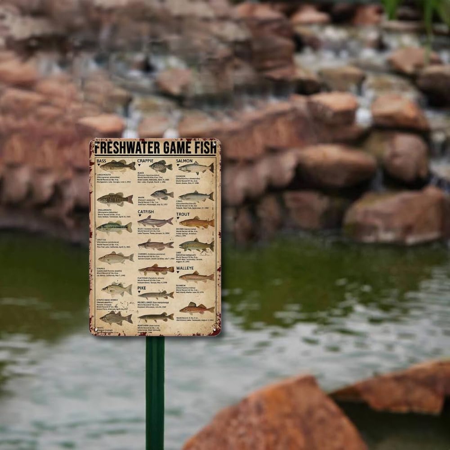 Metal Fishing Decor Wall Art – Freshwater Game Fish Sign, Vintage Fishing Hun…