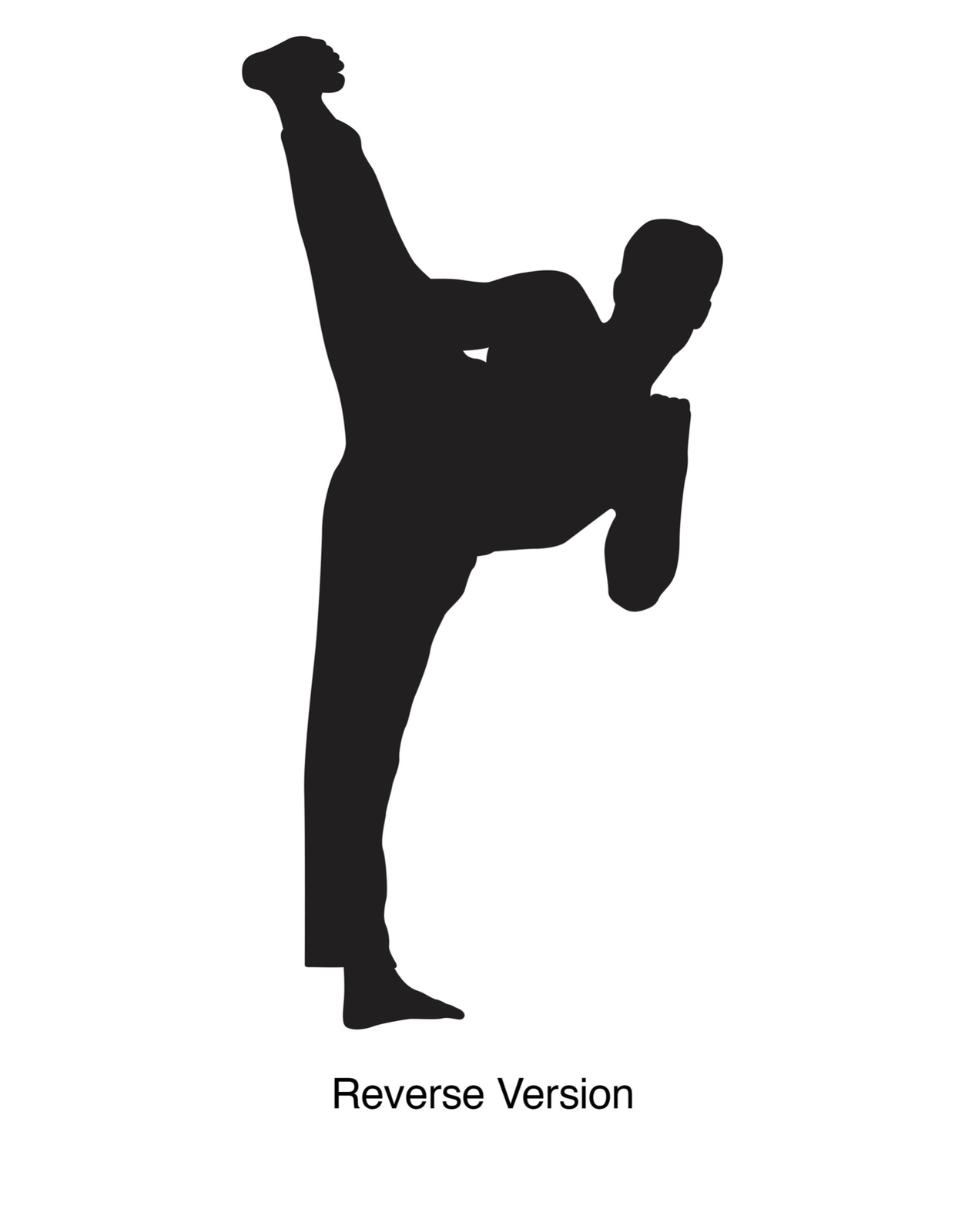 Karate Kick Vinyl Wall Decal Sticker. #224