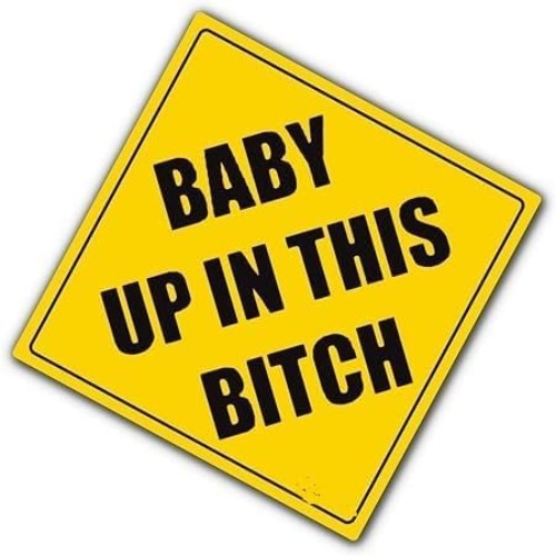Stylish Baby Up In This Bitch Decal – Glittery 5×5 Vinyl for Indoor & Outdoor