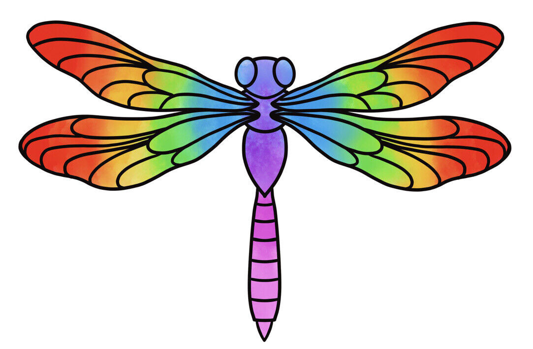 Rainbow Dragonfly Sticker Decal