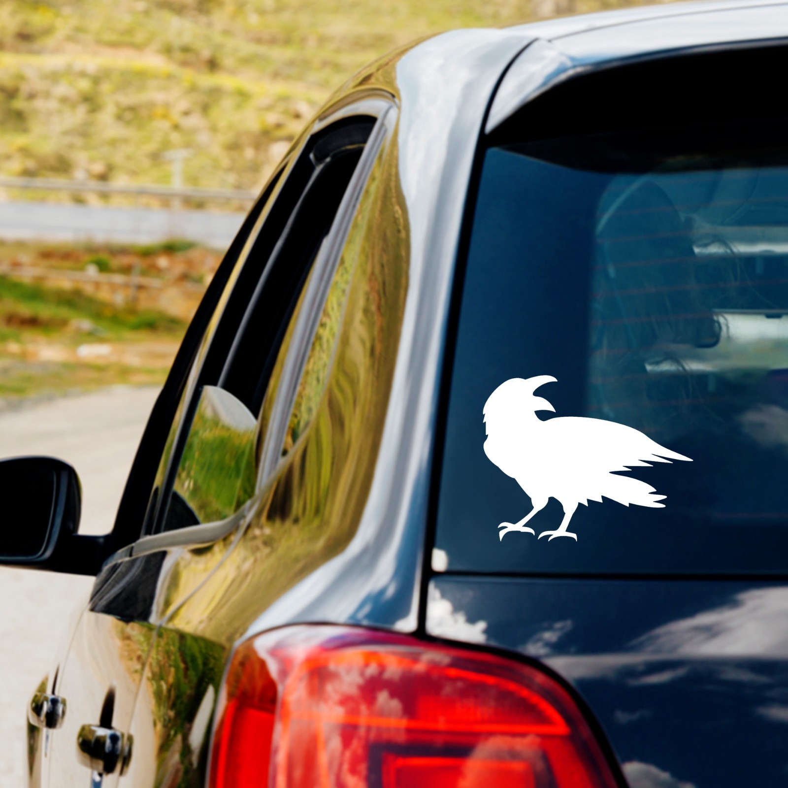 Squawking Crow Raven Vinyl Decal Sticker Car Truck Window Laptop Water Bottle