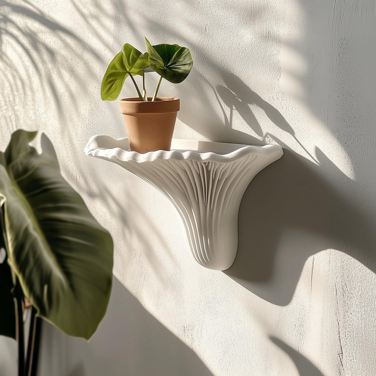 3D Printed Mushroom Wall Shelf – Artists Conk Design | Minimalist Floating