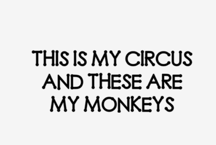 This is My Circus And My Monkeys Sticker Funny Decal Choose Color