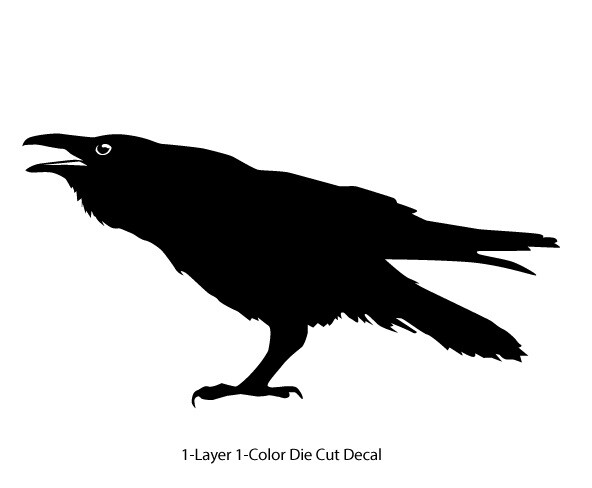 Wildlife – Birds – Cawing Raven/Crow/Corvid #1- 6Yrs Outdoor Vinyl Decal Sticker