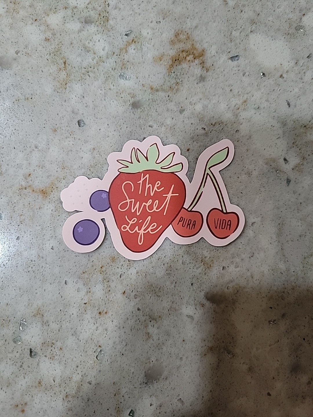 New Pura Vida August 2025 Monthly Bracelet Club Sweet Life STICKER