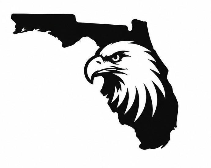 Florida Patriotic USA Eagle Vinyl Decal