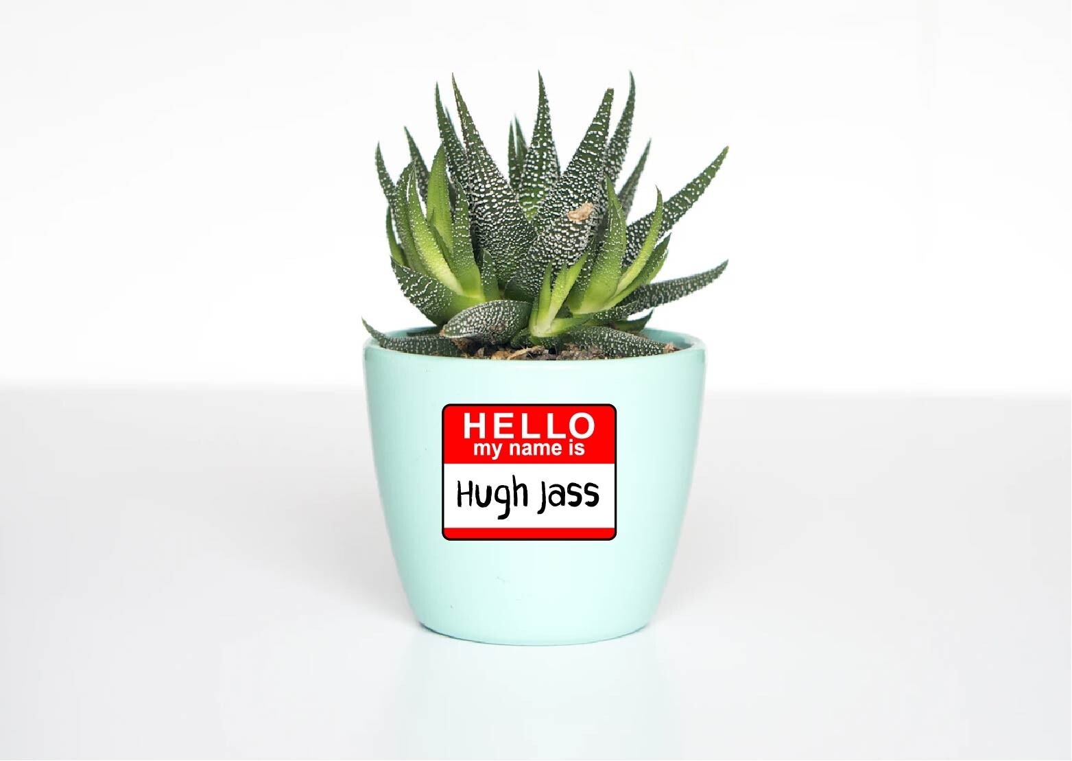 Name Tag Decal Sticker Hugh Jass Funny Huge Joke Names Hello My Name Is Red ID