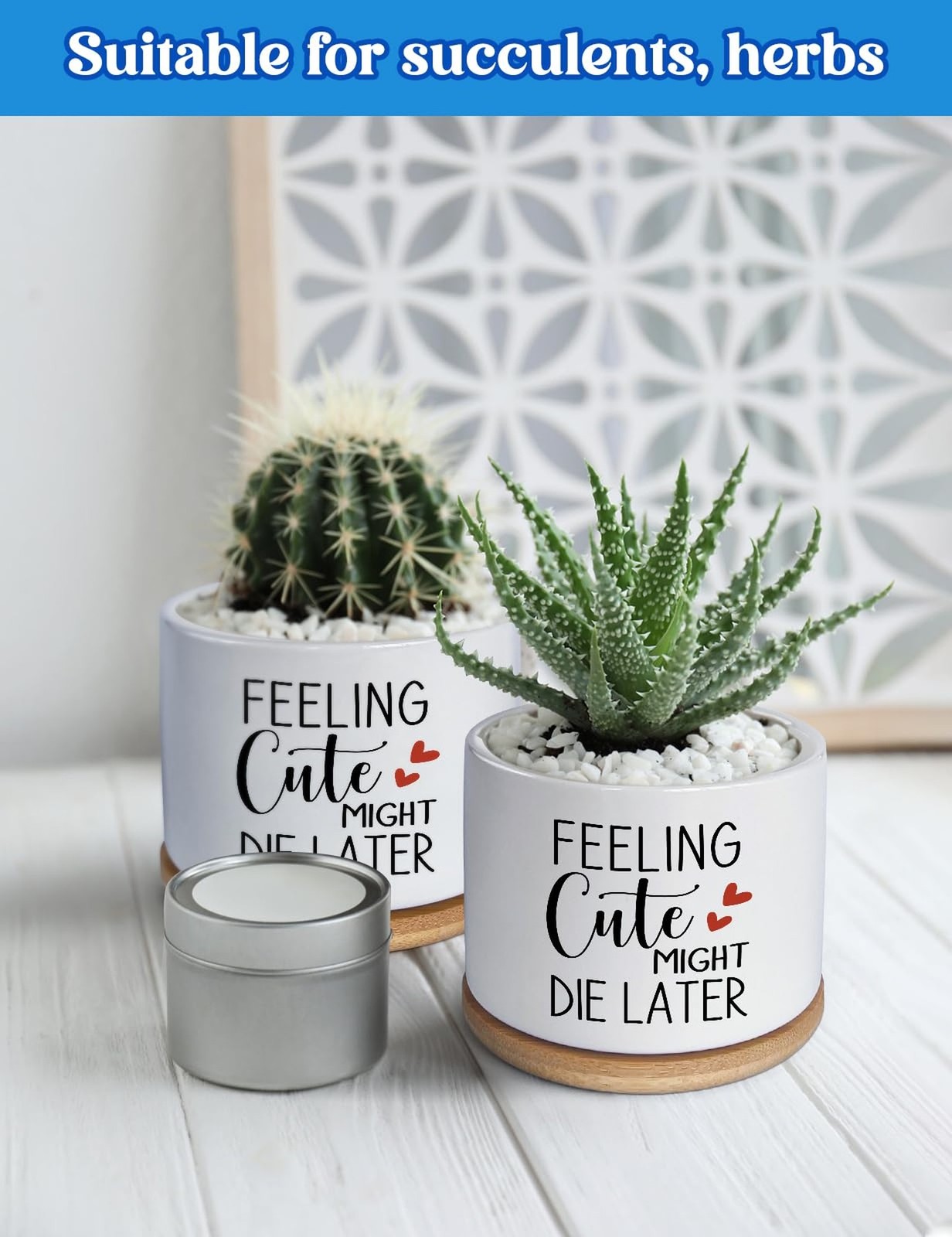 Funny Feeling Cute Might Die Later Ceramic Planter Pot for Succulent & Cactus…