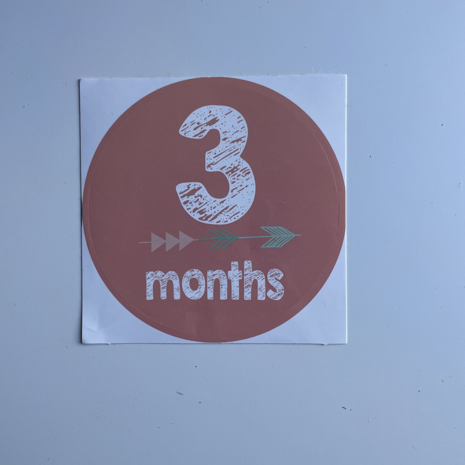 Monthly Baby Milestone Decal Stickers Set of 12 Gender Neutral Brand New